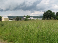 Filename=King_s_landing_field_and_houses.jpg
Filesize=832KB
Dimensions=965x724
Date added=Sep 01, 2011 King_s_landing_field_and_houses.jpg
