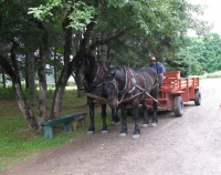 Filename=King_s_landing_horses.jpg
Filesize=915KB
Dimensions=939x743
Date added=Sep 01, 2011 King_s_landing_horses.jpg