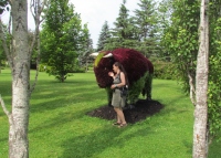 Filename=new-brunswick-botanical-gardens-bison.jpg
Filesize=1218KB
Dimensions=1800x1287
Date added=Jul 28, 2013 new-brunswick-botanical-gardens-bison.jpg