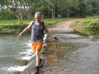 DAMI crosses the Wailua River on Kauai, wearing the new brown hiking boots and safety orange fashion so no wild pig hunters mistake him for a wild pig!