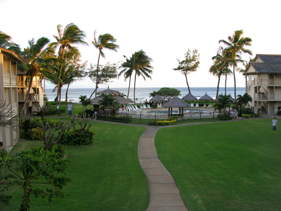 A New Day in Hawaii