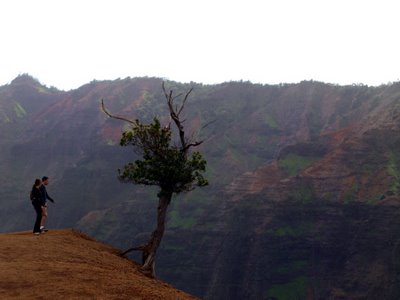 The view at the end of the trail into the Waimea canyon is utterly mind-blowing!