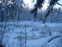 Filename=Dobson_Trail_Section2_winter_pond.jpg
Filesize=892KB
Dimensions=965x724
Date added=Jan 03, 2011 Dobson_Trail_Section2_winter_pond.jpg