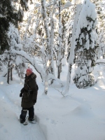 Filename=Dobson_Trail_section3_winter_dd_snowshoes2.jpg
Filesize=607KB
Dimensions=724x965
Date added=Feb 03, 2011 Dobson_Trail_section3_winter_dd_snowshoes2.jpg