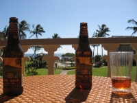 Filename=Fire_Rock_On_the_Lanai.jpg
Filesize=443KB
Dimensions=900x675
Date added=Feb 18, 2008 Fire_Rock_On_the_Lanai.jpg