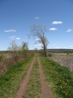 Filename=Hillsborough_wetland_park_trail_dandelions.jpg
Filesize=542KB
Dimensions=675x900
Date added=May 15, 2010 Hillsborough_wetland_park_trail_dandelions.jpg
