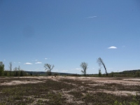 Filename=Hillsborough_wetland_park_trail_dry_field.jpg
Filesize=509KB
Dimensions=900x675
Date added=May 15, 2010 Hillsborough_wetland_park_trail_dry_field.jpg