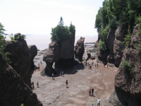 Filename=Hopewell_rocks_dami_flower_pots2.jpg
Filesize=485KB
Dimensions=965x724
Date added=Jul 05, 2010 Hopewell_rocks_dami_flower_pots2.jpg