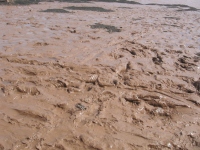Filename=Hopewell_rocks_footprints_in_the_mud.jpg
Filesize=812KB
Dimensions=965x724
Date added=Aug 16, 2010 Hopewell_rocks_footprints_in_the_mud.jpg