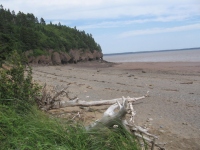 Filename=Hopewell_rocks_plage_des_demoiselles_rocks.jpg
Filesize=513KB
Dimensions=965x724
Date added=Jul 05, 2010 Hopewell_rocks_plage_des_demoiselles_rocks.jpg