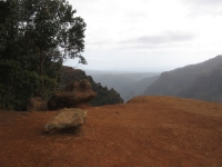 Filename=Kauai_Waimea_Canyon_Trail2.jpg
Filesize=401KB
Dimensions=900x675
Date added=Feb 18, 2008 Kauai_Waimea_Canyon_Trail2.jpg
