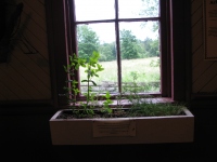 Filename=King_s_Landing_window_box_herbs.jpg
Filesize=555KB
Dimensions=965x724
Date added=Sep 01, 2011 King_s_Landing_window_box_herbs.jpg