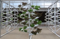 Filename=Living_With_The_Land_Hydroponic_Lettuce.jpg
Filesize=527KB
Dimensions=899x597
Date added=Jun 11, 2009 Living_With_The_Land_Hydroponic_Lettuce.jpg