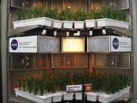 Filename=Living_With_The_Land_Nasa.jpg
Filesize=660KB
Dimensions=900x675
Date added=Jun 11, 2009 Living_With_The_Land_Nasa.jpg