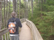 Filename=NB_Fundy_National_Park_Ocean_Boardwalk_Dami.jpg
Filesize=762KB
Dimensions=900x675
Date added=Sep 28, 2009 NB_Fundy_National_Park_Ocean_Boardwalk_Dami.jpg