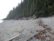 Filename=NB_Fundy_National_Park_Point_Wolf_Ocean_Couple.jpg
Filesize=690KB
Dimensions=900x675
Date added=Sep 28, 2009 NB_Fundy_National_Park_Point_Wolf_Ocean_Couple.jpg