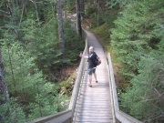 Filename=NB_Fundy_National_Park_Point_Wolf_trail_Dami.jpg
Filesize=738KB
Dimensions=900x675
Date added=Sep 28, 2009 NB_Fundy_National_Park_Point_Wolf_trail_Dami.jpg