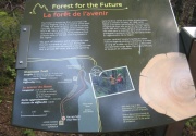 Filename=NB_Fundy_National_Park_Shiphaven_Trail_Map.jpg
Filesize=536KB
Dimensions=900x628
Date added=Sep 28, 2009 NB_Fundy_National_Park_Shiphaven_Trail_Map.jpg