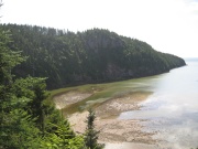 Filename=NB_Fundy_National_Park_Shiphaven_Trail_Rising_Tide4.jpg
Filesize=518KB
Dimensions=900x675
Date added=Sep 28, 2009 NB_Fundy_National_Park_Shiphaven_Trail_Rising_Tide4.jpg