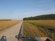 Filename=NB_Irving_National_Park_Boardwalk.jpg
Filesize=521KB
Dimensions=900x675
Date added=Sep 28, 2009 NB_Irving_National_Park_Boardwalk.jpg