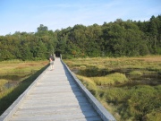 Filename=NB_Irving_National_Park_Boardwalk_Dami.jpg
Filesize=643KB
Dimensions=900x675
Date added=Sep 28, 2009 NB_Irving_National_Park_Boardwalk_Dami.jpg