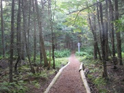 Filename=NB_Irving_National_Park_Deer_Trail.jpg
Filesize=824KB
Dimensions=900x675
Date added=Sep 28, 2009 NB_Irving_National_Park_Deer_Trail.jpg