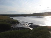 Filename=NB_Irving_National_Park_Rising_Tide2.jpg
Filesize=400KB
Dimensions=900x675
Date added=Sep 28, 2009 NB_Irving_National_Park_Rising_Tide2.jpg