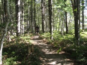 Filename=NS_Kejimkujik_National_Park_Snake_Lake_Trail_Dami.jpg
Filesize=937KB
Dimensions=900x675
Date added=Oct 03, 2009 NS_Kejimkujik_National_Park_Snake_Lake_Trail_Dami.jpg