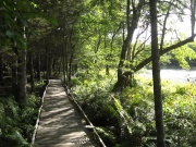 Filename=NS_Mersey_River_Chalets_Boardwalk.jpg
Filesize=871KB
Dimensions=900x675
Date added=Oct 03, 2009 NS_Mersey_River_Chalets_Boardwalk.jpg