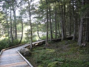 Filename=NS_Mersey_River_Chalets_Boardwalk2.jpg
Filesize=873KB
Dimensions=900x675
Date added=Oct 03, 2009 NS_Mersey_River_Chalets_Boardwalk2.jpg