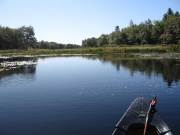 Filename=NS_Mersey_River_Chalets_Canoe_Harry_Lake_East_Branch3.jpg
Filesize=520KB
Dimensions=900x675
Date added=Oct 03, 2009 NS_Mersey_River_Chalets_Canoe_Harry_Lake_East_Branch3.jpg