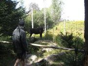 Filename=NS_Upper_Clements_Wildlife_Park_Moose_and_Dami.jpg
Filesize=710KB
Dimensions=900x675
Date added=Oct 03, 2009 NS_Upper_Clements_Wildlife_Park_Moose_and_Dami.jpg