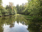 Filename=NS_Upper_Clements_Wildlife_Park_Pond.jpg
Filesize=733KB
Dimensions=900x675
Date added=Oct 03, 2009 NS_Upper_Clements_Wildlife_Park_Pond.jpg