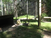 Filename=NS_Upper_Clements_Wildlife_Park_White_Owl.jpg
Filesize=822KB
Dimensions=900x675
Date added=Oct 03, 2009 NS_Upper_Clements_Wildlife_Park_White_Owl.jpg