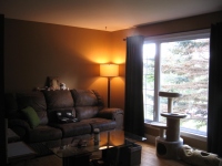Filename=New_window_curtains_and_lamp.jpg
Filesize=520KB
Dimensions=965x724
Date added=Jan 02, 2011 New_window_curtains_and_lamp.jpg