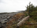 Filename=Nova_Scotia_Delaps_Cove_Bay_of_Fundy.jpg
Filesize=574KB
Dimensions=900x675
Date added=Oct 20, 2009 Nova_Scotia_Delaps_Cove_Bay_of_Fundy.jpg