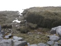 Filename=Nova_Scotia_Delaps_Cove_Bay_of_Fundy_Hairy_Rocks.jpg
Filesize=587KB
Dimensions=900x675
Date added=Oct 20, 2009 Nova_Scotia_Delaps_Cove_Bay_of_Fundy_Hairy_Rocks.jpg
