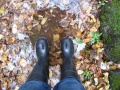 Filename=Nova_Scotia_Delaps_Cove_Bohaker_Trail_Rubber_Boots.jpg
Filesize=759KB
Dimensions=900x675
Date added=Oct 20, 2009 Nova_Scotia_Delaps_Cove_Bohaker_Trail_Rubber_Boots.jpg