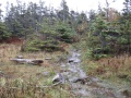 Filename=Nova_Scotia_Delaps_Cove_Bohaker_Wet_Trail.jpg
Filesize=876KB
Dimensions=900x675
Date added=Oct 20, 2009 Nova_Scotia_Delaps_Cove_Bohaker_Wet_Trail.jpg