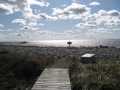Filename=Nova_Scotia_Kejimkujik_Seaside_Trail_Arrow.jpg
Filesize=627KB
Dimensions=900x675
Date added=Oct 21, 2009 Nova_Scotia_Kejimkujik_Seaside_Trail_Arrow.jpg