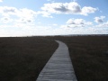 Filename=Nova_Scotia_Kejimkujik_Seaside_Trail_Boardwalk.jpg
Filesize=462KB
Dimensions=900x675
Date added=Oct 21, 2009 Nova_Scotia_Kejimkujik_Seaside_Trail_Boardwalk.jpg