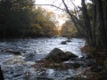 Filename=Nova_Scotia_Mersey_River_Chalet_West_Branch_Canoe_high_water2.jpg
Filesize=744KB
Dimensions=900x675
Date added=Oct 19, 2009 Nova_Scotia_Mersey_River_Chalet_West_Branch_Canoe_high_water2.jpg