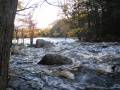 Filename=Nova_Scotia_Mersey_River_Chalet_West_Branch_Canoe_high_water3.jpg
Filesize=741KB
Dimensions=900x675
Date added=Oct 19, 2009 Nova_Scotia_Mersey_River_Chalet_West_Branch_Canoe_high_water3.jpg