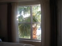 Filename=Palm_Tree_in_Window.jpg
Filesize=195KB
Dimensions=640x480
Date added=May 11, 2009 Palm_Tree_in_Window.jpg
