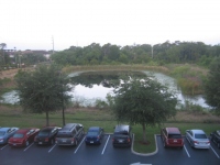 Filename=Pond_View_Residence_Inn.jpg
Filesize=173KB
Dimensions=640x480
Date added=May 11, 2009 Pond_View_Residence_Inn.jpg