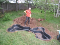Filename=Pond_basins_dami.jpg
Filesize=766KB
Dimensions=900x675
Date added=May 15, 2010 Pond_basins_dami.jpg