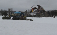 Filename=Shediac_Lobster2.jpg
Filesize=525KB
Dimensions=1138x709
Date added=Feb 17, 2010 Shediac_Lobster2.jpg