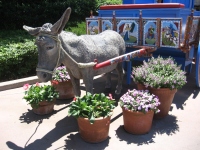 Filename=WDW_Epcot_Germany_Donkey.jpg
Filesize=732KB
Dimensions=900x675
Date added=Aug 03, 2009 WDW_Epcot_Germany_Donkey.jpg