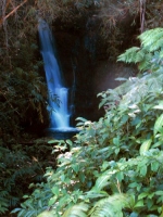 Filename=akaka-waterfalls-hawaii~0.jpg
Filesize=106KB
Dimensions=525x700
Date added=Feb 17, 2008 akaka-waterfalls-hawaii~0.jpg