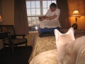 Filename=alaska_and_jasper_at_best_western_fredericton_NB.jpg
Filesize=496KB
Dimensions=900x675
Date added=Oct 19, 2009 alaska_and_jasper_at_best_western_fredericton_NB.jpg